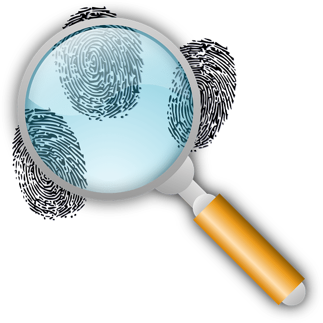 The Steps to Becoming a Private Investigator